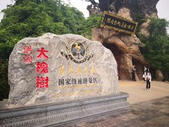 -大槐树寻根祭祖园
