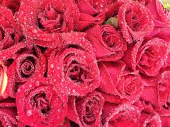 iphone_upload_pic-袭人花店(辉县店)