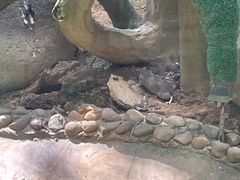 -杭州野生动物世界