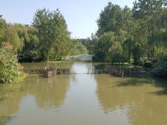 -溱湖国家湿地公园