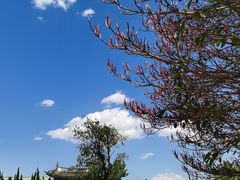-蝴蝶泉公园