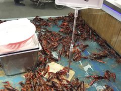 -盒马鲜生(大成店)