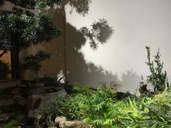 -食之六七·面(朝阳大悦城店)