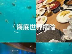 -海棠湾洲际-涛·海底餐厅·美人鱼·自助餐·海底隧道