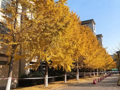 -公益图书馆(江南大学店)