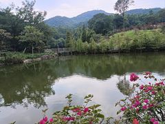 -广州市帽峰山景区