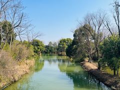 -西溪国家湿地公园