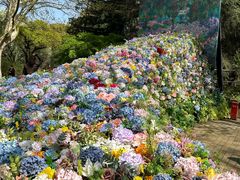 -上海共青森林公园