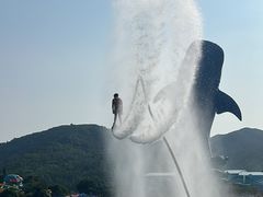 -珠海长隆海洋王国