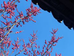 -蠡湖大桥公园