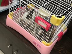 -乐宠宠物店(世纪金源店)