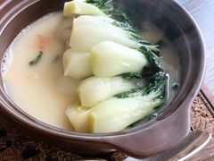 奶白菜-广州柏悦酒店·悦景轩·粤菜餐厅