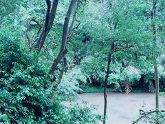 -黔灵山公园