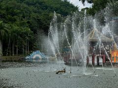 -西双版纳原始森林公园