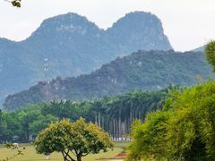 -南宁花花大世界景区