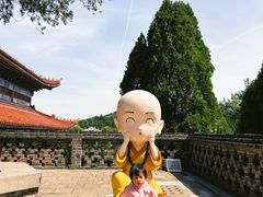 -龙口南山旅游景区