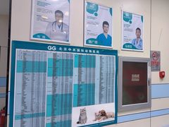 -中农国际动物医院24小时·猫科·骨科·急重症中心