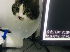 -达爱动物医院·犬猫分区·CT·复杂眼科(远洋山水分院)