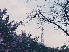 -佛山华盖山公园