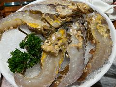 小青龙-东海怡品海鲜豆捞(星街坊店)