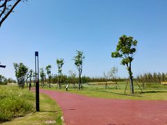 -春花秋色城市公园