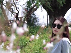 -汉长安城未央宫国家考古遗址公园