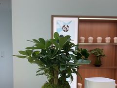 -长风拨筋养身(金虹桥店)