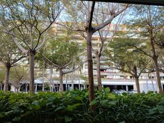 -半山半岛洲际度假酒店·观海廊