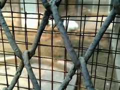 android_upload_pic-西安秦岭野生动物园