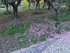 -燕郊植物园