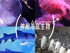 -成都浩海立方海洋公园