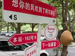 -阿巧茶庄