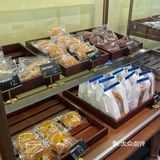 蛋挞脑袋集合！!!