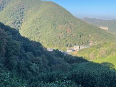 -午潮山国家森林公园