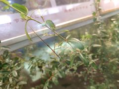 -上海昆虫博物馆