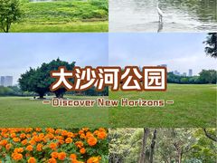 -大沙河公园