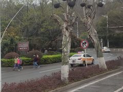 -武汉长江大桥
