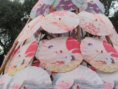 -中国科学院华南植物园
