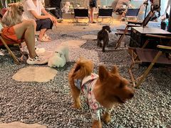 -J Create城市露营咖啡·简餐·宠物(上海动物园店)