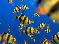 -成都浩海立方海洋公园