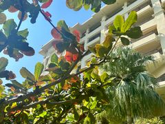 -三亚亚龙湾天域度假酒店