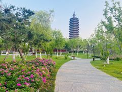 -西海子公园