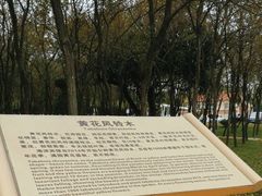 -湛江海滨宾馆-醉海楼