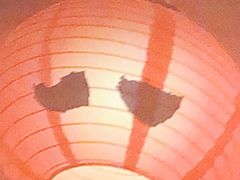 -八代目拉面(金爵万象店)
