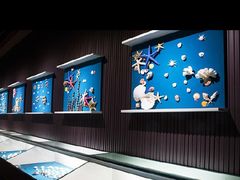 -青岛贝壳博物馆