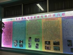 -北京观赏动物医院·24小时大型综合·猫专科·异宠专科