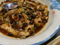 -东鸽皇(奥园·中环广场店)