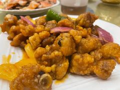-鸿达渔港