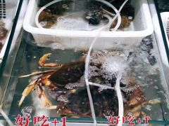 -胖子饺子馆·海鲜家常菜(海军博物馆店)