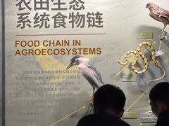 -四川大学博物馆